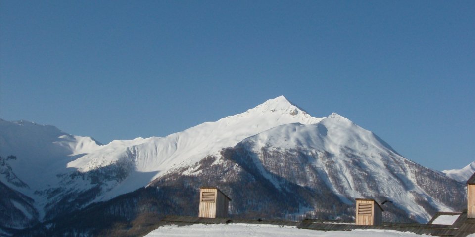 vue